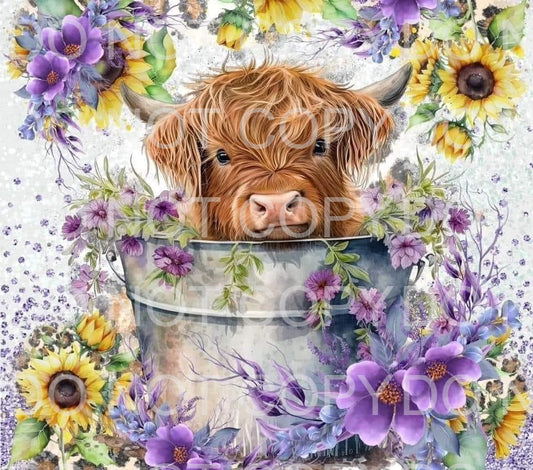 Highland cow + flowers | Sublimation transfer