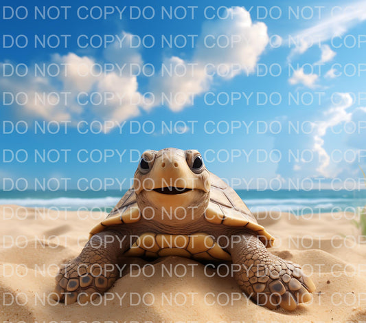 Turtle | Sublimation transfer