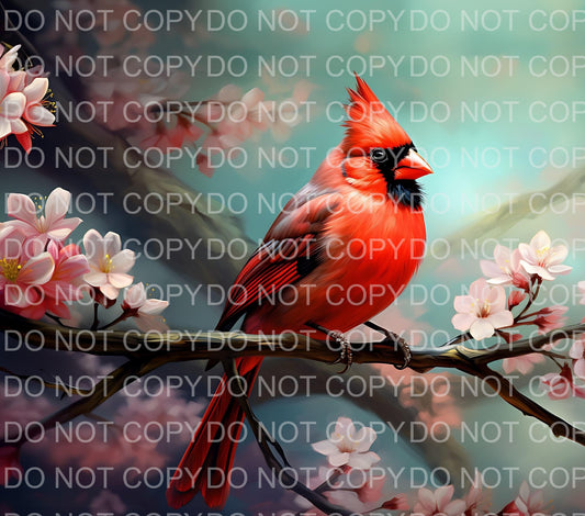 Cardinal | Sublimation transfer